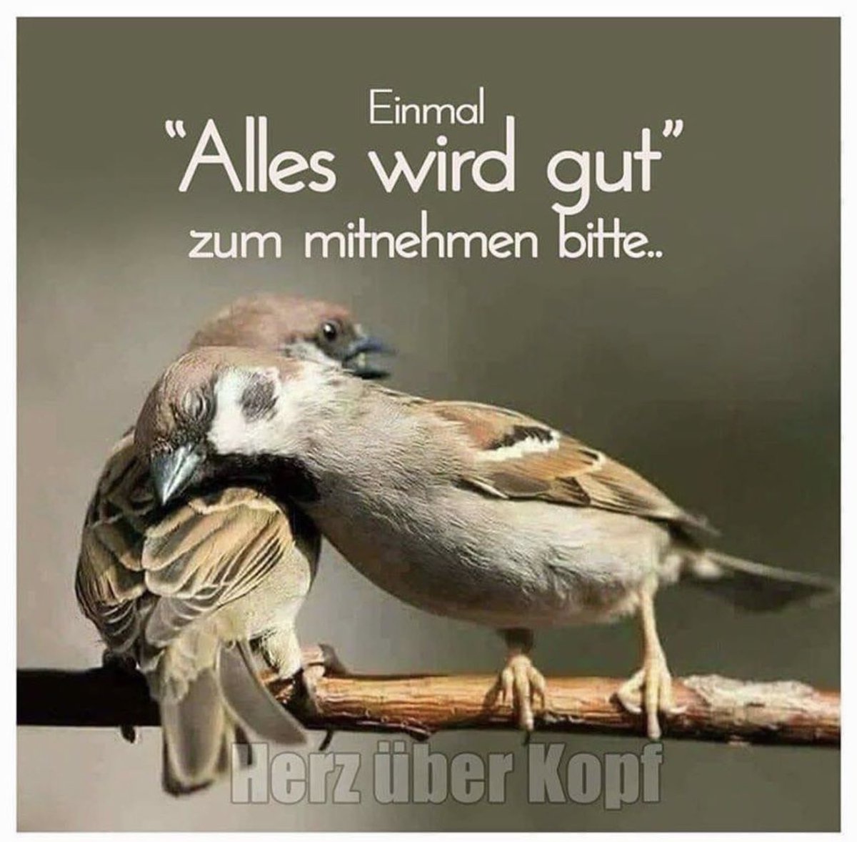 ShowAgenten's tweet photo. #showagenten https://t.co/jQUYQjmbOK