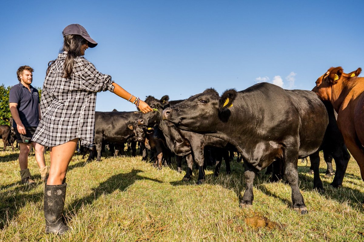 Charity @JamiesFarm is expanding its support for children and young people at risk of social and academic exclusion with the purchase of a 6th rural farm, hosting transformative residential visits to the countryside – backed by a loan from Triodos 👉 shorturl.at/xIPQ9