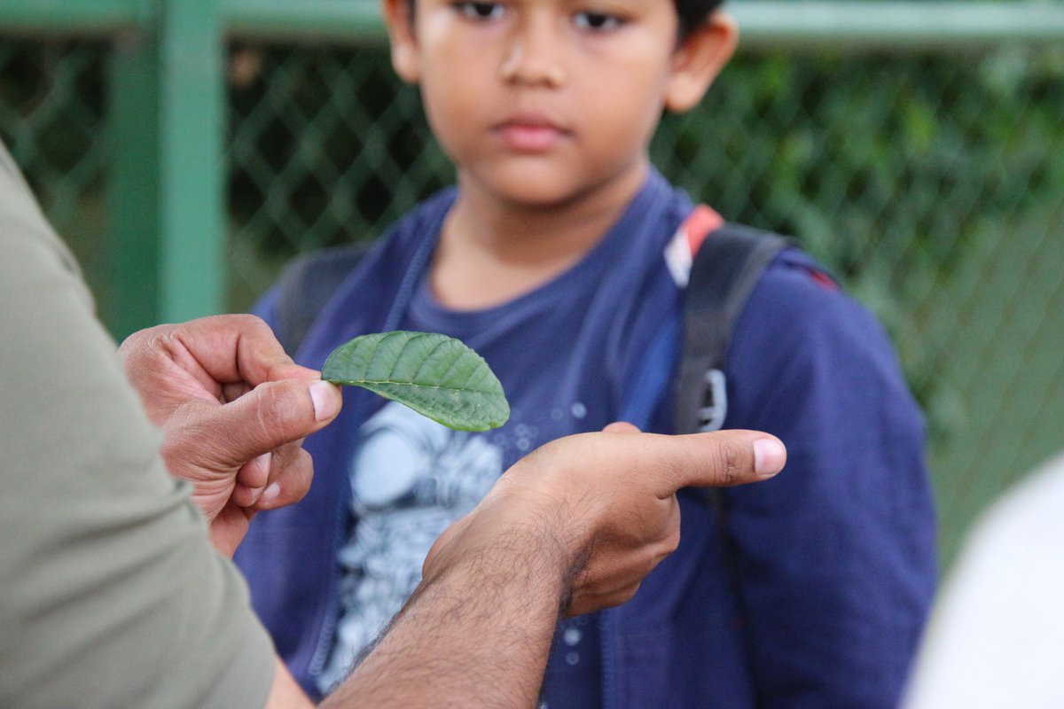 Tree Survey was held at #Dorekere !
The team covered upto 70% of lake area.
31 tree #species observed. 
Mesmerizing experience in the woods &amp; in #Bengaluru.

A second chance awaits those missed #tree survey today. Next on 9th Aug. 2023, register with QR code.
@BBMPCOMM <a href="/Sdg13Un/">🇺🇳 #UN 🇺🇳 #SDGs 🌏 #ClimateAction 🌐 #ActNow</a>