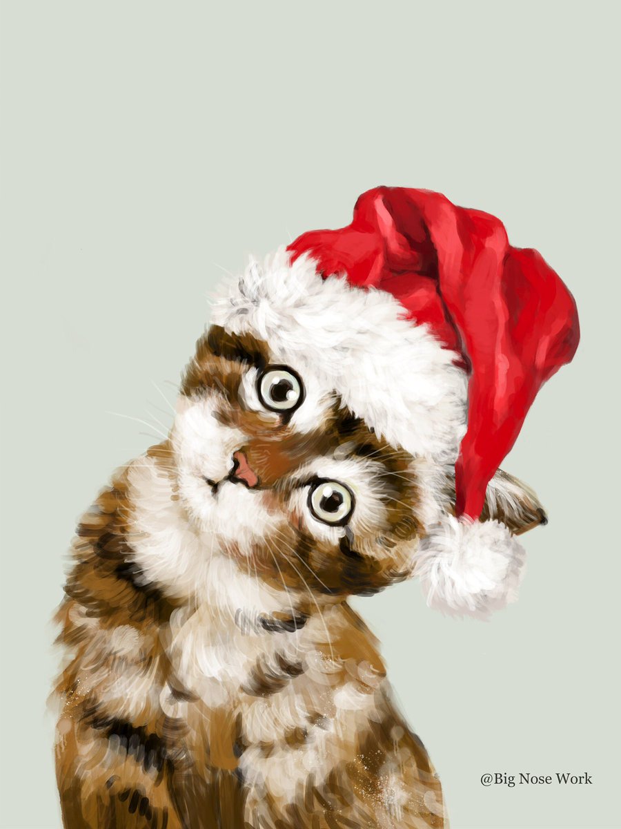 Christmas Baby Cat 

society6.com/art/christmas-…

 #cute #bignosework #animalportrait #animalpainting #petpainting #cutenessoverload #procreate #animal #animalovers #catlover #catlife #babycat #catart #cat #kidroomdecor #childrenillustration #nurserydecor #christmasdecor #christmas