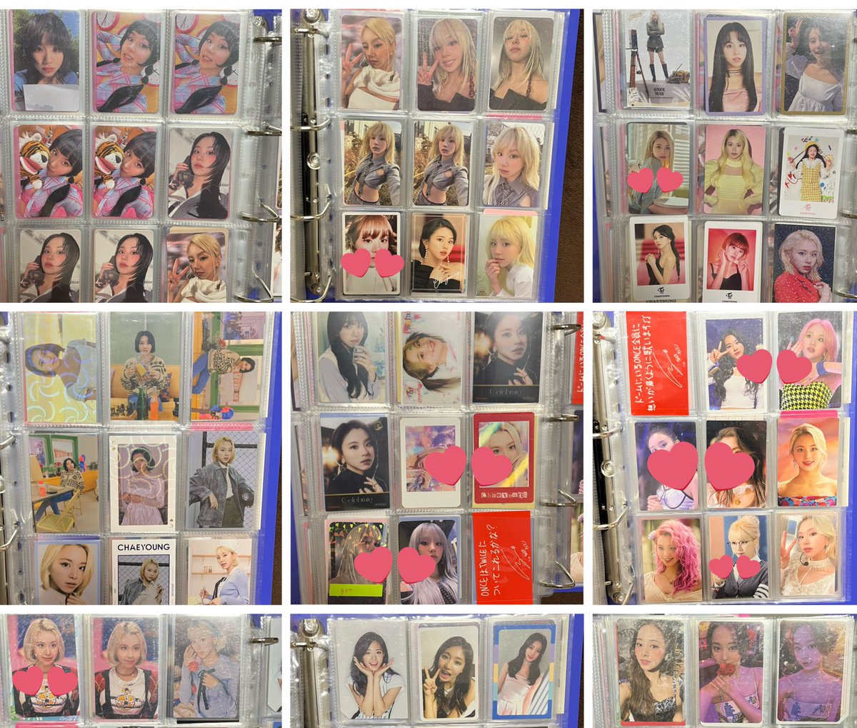 トラちゃん tweet media