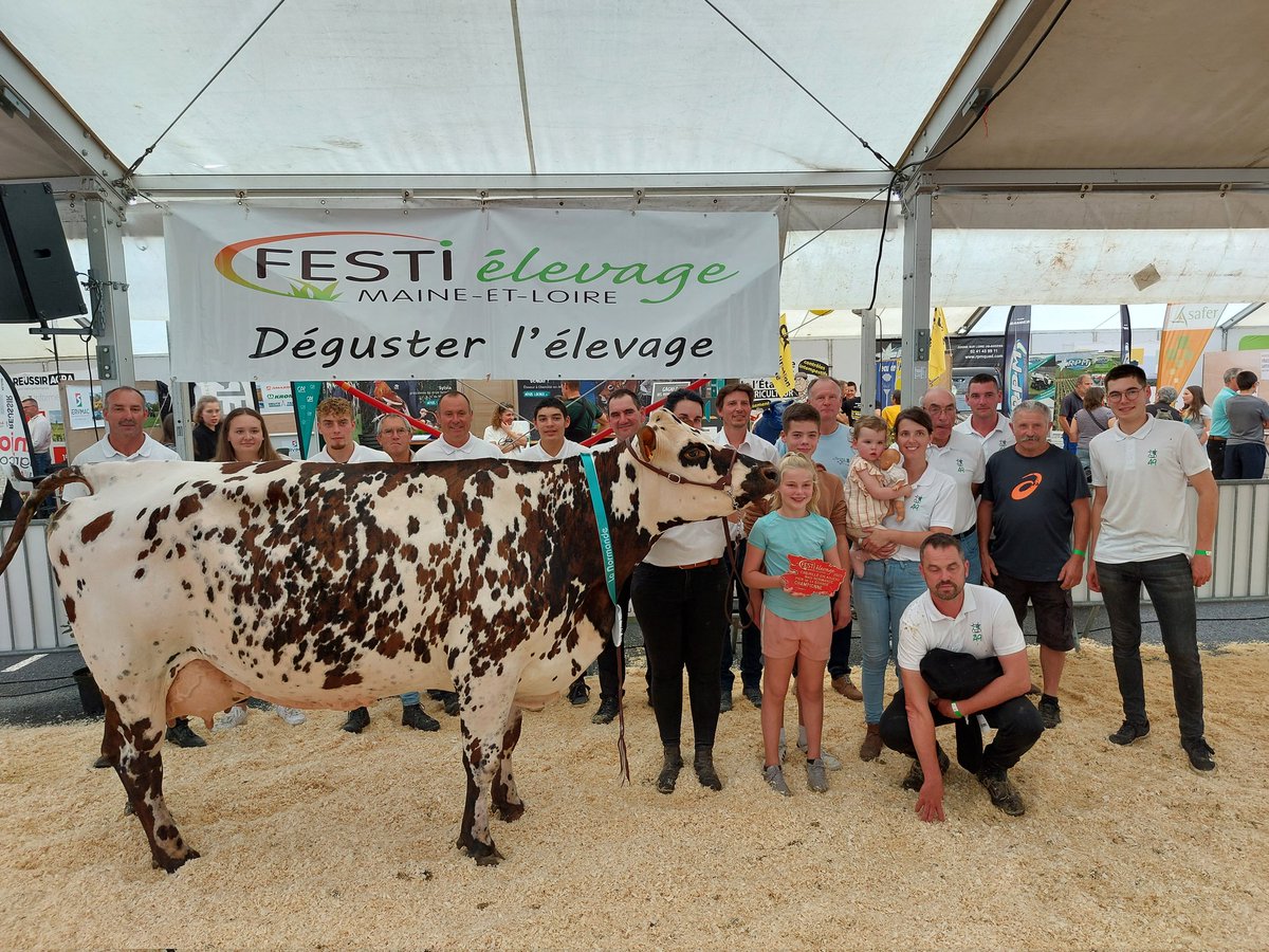 Bravo à l'EARL Piou Ciron qui remporte le titre de Grande championne normande 2023 du Festi'Elevage Chemillé  avec Mamasita et à l'ensemble des éleveurs qui ont participé au concours organisé par le syndicat normande49.