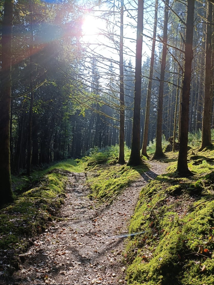 tokesurf76's tweet image. Lovely ride out this morning.🌞 #Walesneverfails! #Brechfa💚💙🖤 mashup... @Absolutemtb1