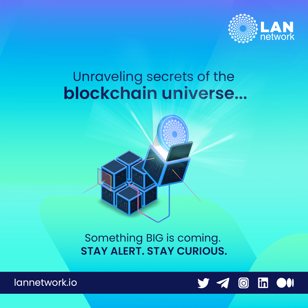 LAN Network tweet media