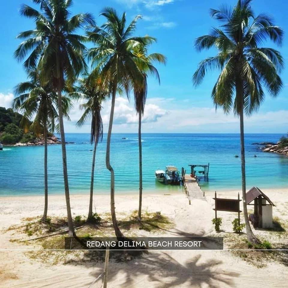 staycationig's tweet photo. 📍Redang Delima Resort, Pulau Redang

Best stay sini sebab korang boleh naik atv along the beach. Jalan sikit terus sampai pantai. 😍 https://t.co/oHSpWYEv0K