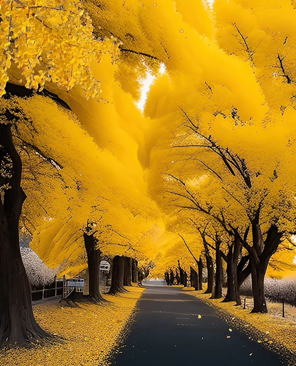 Happy weekend my friends 💛