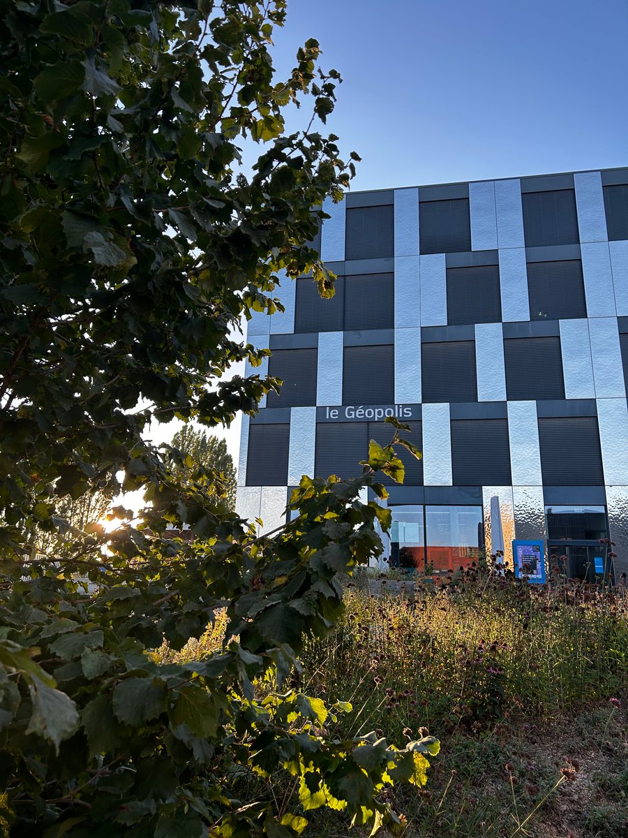 San G. Solazzi tweet media