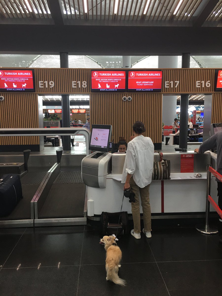 _selimugur_'s tweet photo. İstanbul Yeni Havalimanı sadece Evcil Hayvanlara özel Check-In bankosu ❤️ 🐕 🐈 🐈⬛ Pet Friendly Check-In at İstanbul New Airport #flyingwithpets #turkishairlines https://t.co/0bakxOI32z