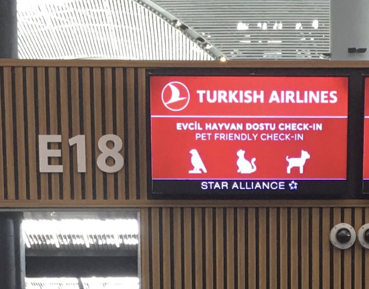 _selimugur_'s tweet photo. İstanbul Yeni Havalimanı sadece Evcil Hayvanlara özel Check-In bankosu ❤️ 🐕 🐈 🐈⬛ Pet Friendly Check-In at İstanbul New Airport #flyingwithpets #turkishairlines https://t.co/0bakxOI32z