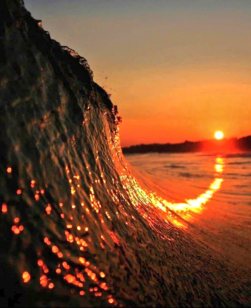 lifeonearthz's tweet photo. Wave with sunset in the background https://t.co/xFIcHUrWqZ