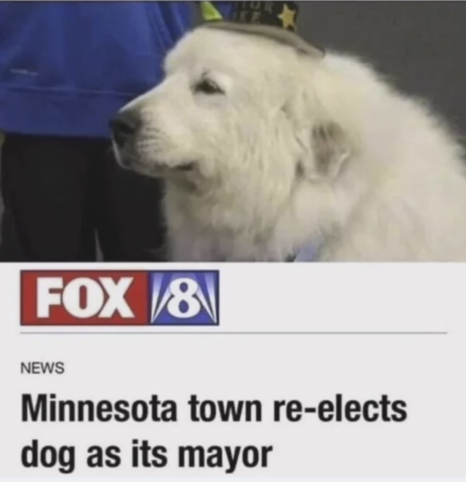 Respectful Memes tweet media