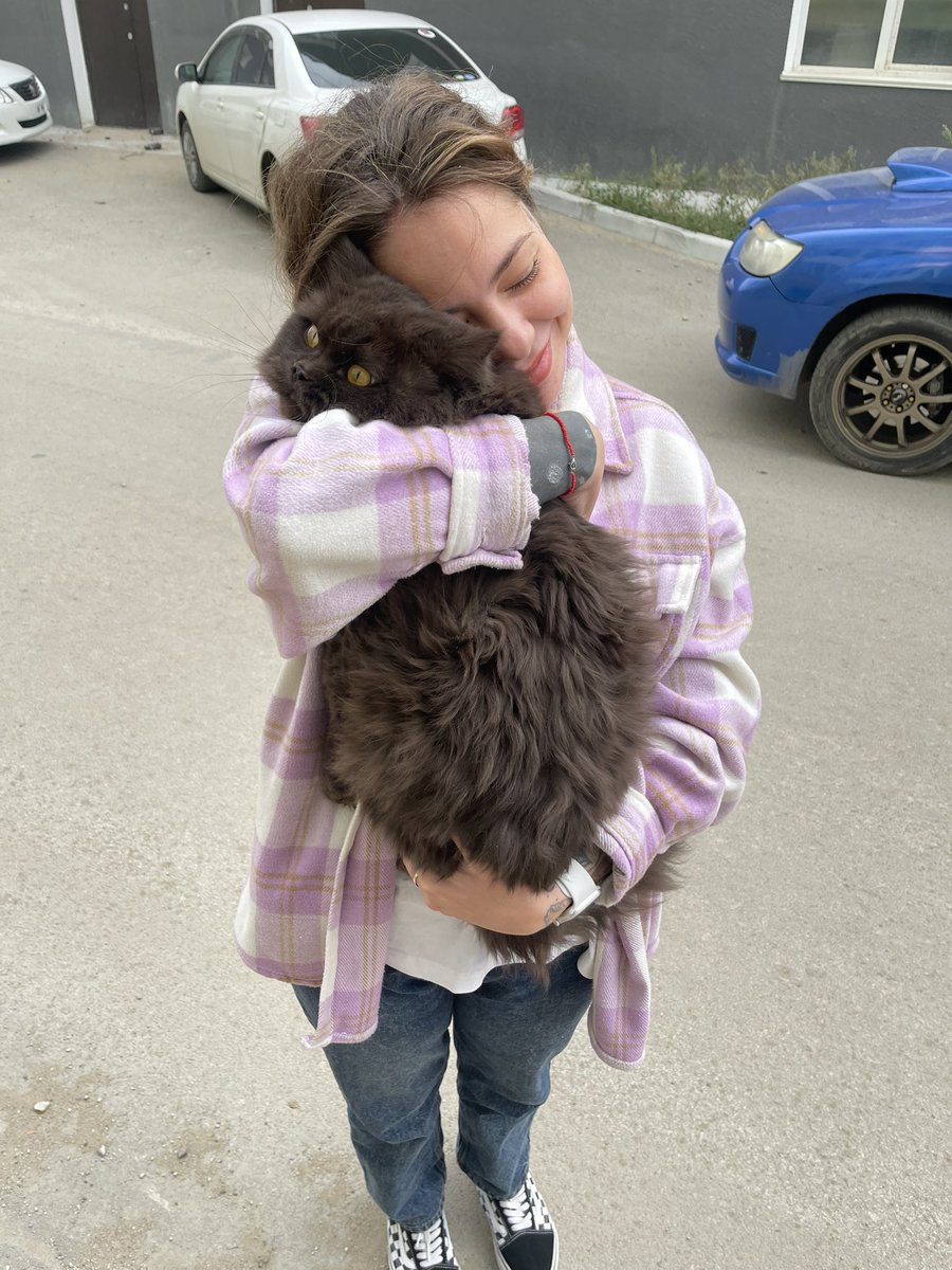 KSELISOVETS's tweet photo. Мы сегодня подстригли кота и гуляли пешком :) 

Винни обратно ехал не пристегнутый ⚠️ https://t.co/D0SHlXffta