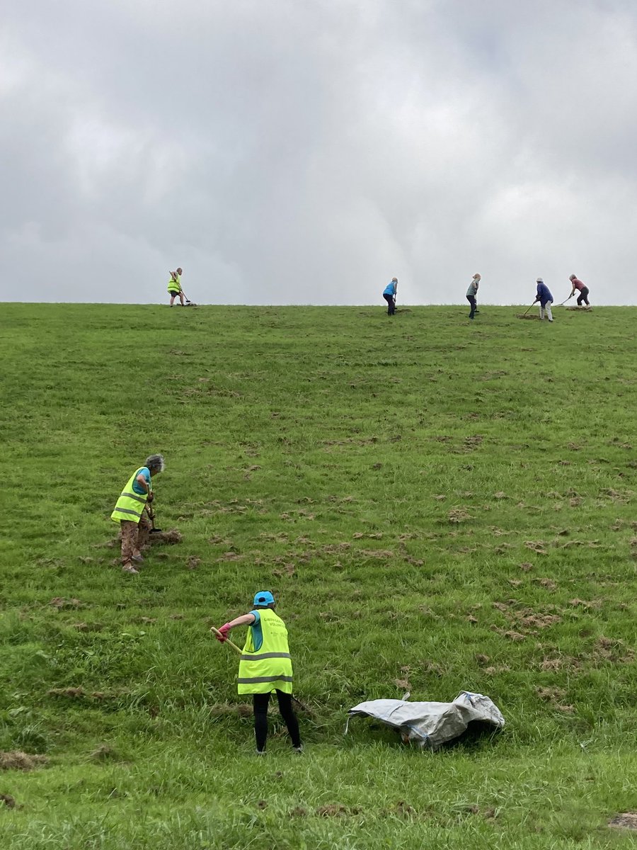 Several of our hard-working volunteers were busy raking grass banks @LisvaneLlanRes today, supporting nature conservation and the diversity of grassland fungi.