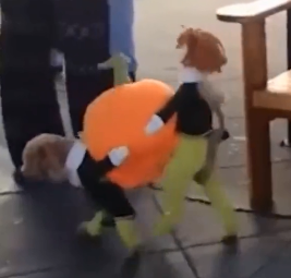 flarset039's tweet photo. pumpkin suit for dogos https://t.co/7Erk9byWUp