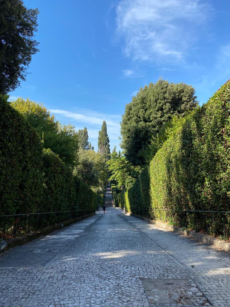 Dragomira Majhen (@dragomiramajhen) on Twitter photo Today was a perfect day to visit Villa d’Este and Villa Gregoriana in Tivoli <a href="/ResCarlandi/">Residenza Carlandi</a> Today was a perfect day to visit Villa d’Este and Villa Gregoriana in Tivoli <a href="/ResCarlandi/">Residenza Carlandi</a>