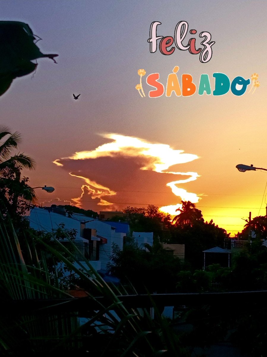 fperez1004's tweet photo. Feliz sábado 🌄✨️ https://t.co/TBiVcSfL63