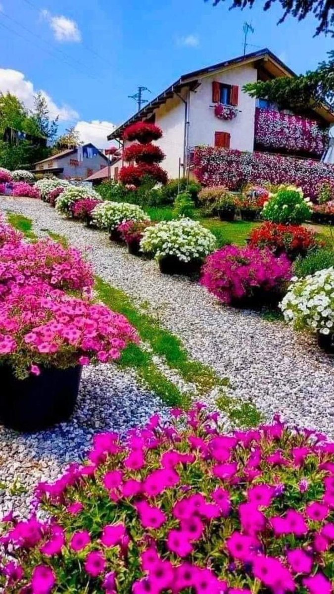 Colors ❤️💜💚💛🧡