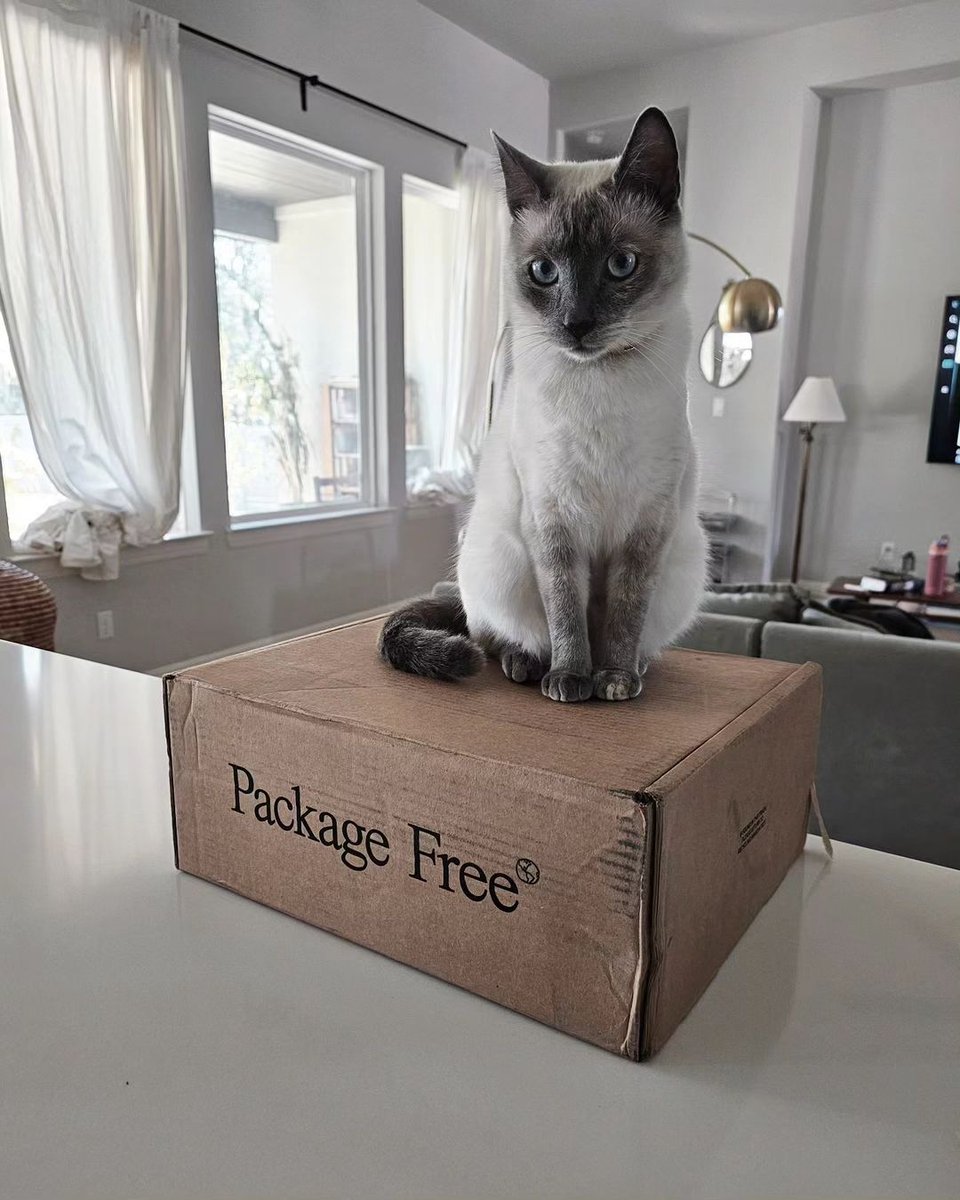 Caturday with @sanetrastew 🐈‍⬛⁠
⁠
Did you know that our products are household friendly for ALL kinds of parents? From pets to babies to plants - non-toxic products are not only good for you, they are good for the environment around you! ⁠