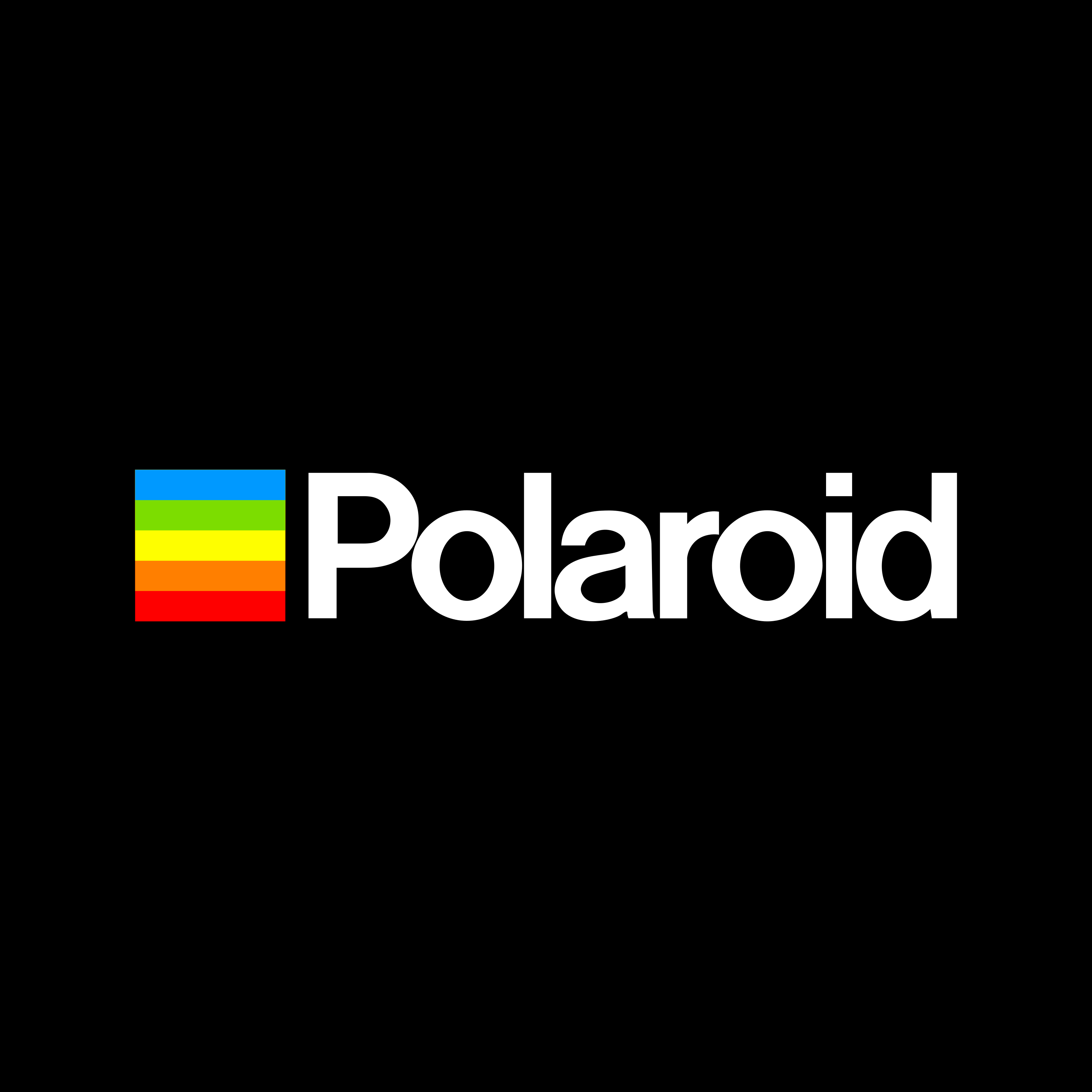 Polaroid