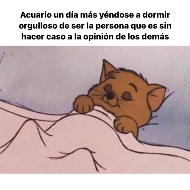 acuario_hn's tweet photo. Con la conciencia bien tranquila 😊 #acuario #horoscoponegro https://t.co/JThbQJiKDj