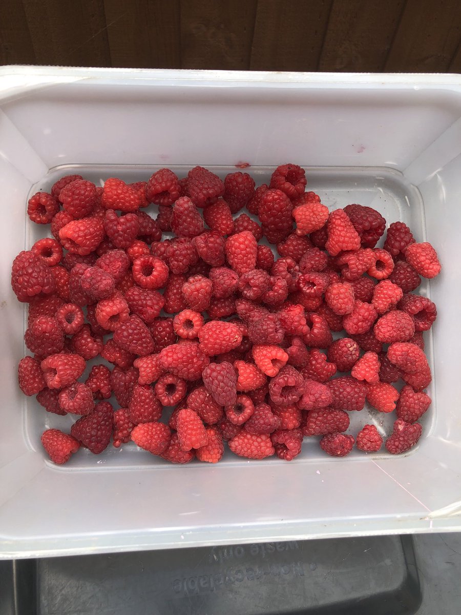 Nig65's tweet photo. Been a good harvest again this year. https://t.co/T86x4T8T6W