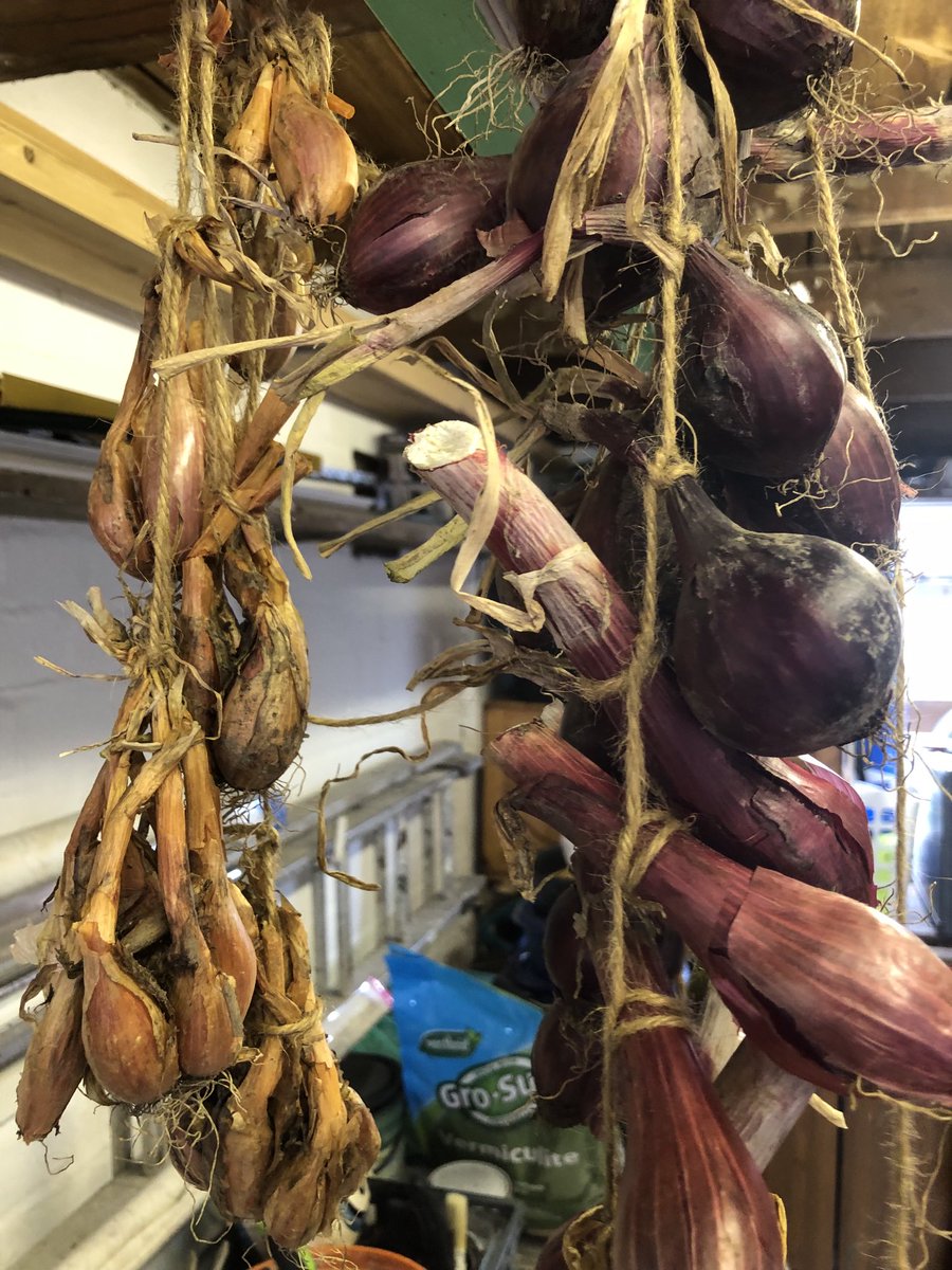 Nig65's tweet photo. Been a good harvest again this year. https://t.co/T86x4T8T6W