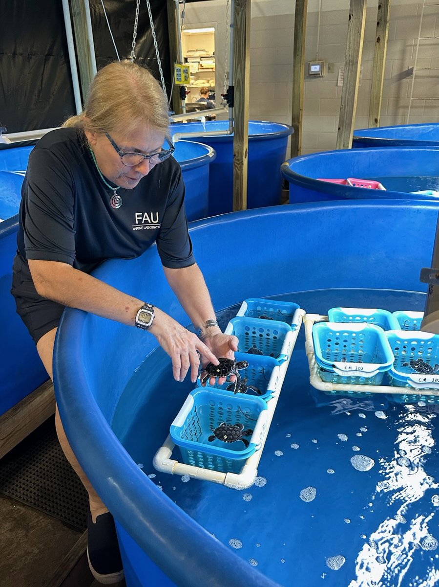 ErinGrall's tweet photo. Great to get an up-close look at @FloridaAtlantic's Marine Science Lab where research into marine species &amp; topics provides students w/ meaningful educational opportunities &amp; helps find solutions to coastal/marine challenges. Such an important &amp; unique resource in our community. https://t.co/ln2NShnI6e