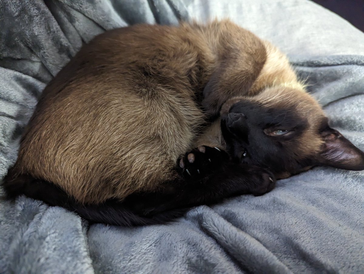 Heisendong 🍉 tweet media