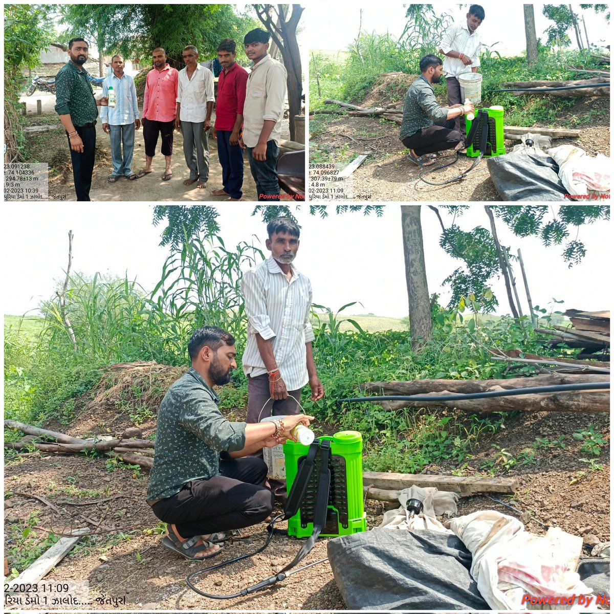 ZalaSan92838214's tweet image. આજે દાહોદ જિલ્લાનાં તમામ તાલુકામાં નેનો યુરિયા  ખાતર અંગે ખેડુતમિત્રોને જાણકારી આપી/તમામ ગ્રામસેવક મિત્રોએ ગામે ગામ એક-એક ખેડૂતને ત્યાં નેનો યુરિયાનો છંટકાવ કરી પ્રત્યક્ષ ડેમો કરી ખેડૂતોને જાણકાર કર્યા.
🔰પ્રશ્નો અંગે ચર્ચા
📌કયા પાકમાં છંટકાવ કરવો
📌કેટલી માત્રામાં વાપરવું