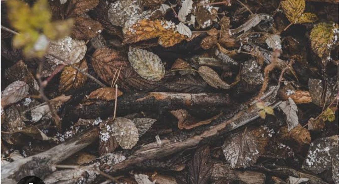 Tanyaku menyibak dedaunan kering, yang meranggas diantara debu beterbangan. Telah hilang noktah tentangmu, sisakan sekian rindu yang setia pada penantian meski tanpa kepastian. Serasa arahpun enggan menyapa, meski sekedar kata hendak kemana.

#IramaKeheningan