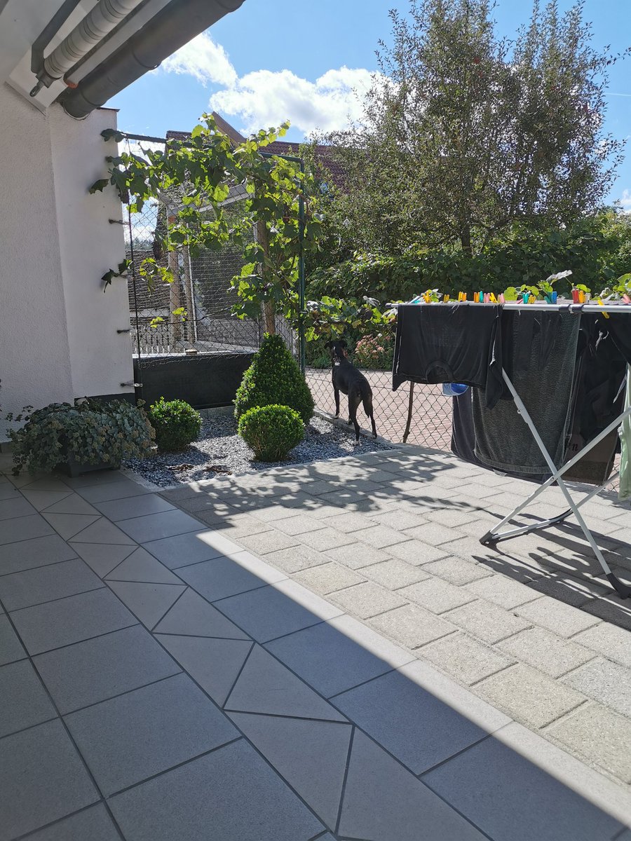 Der blaue Himmel ist krass