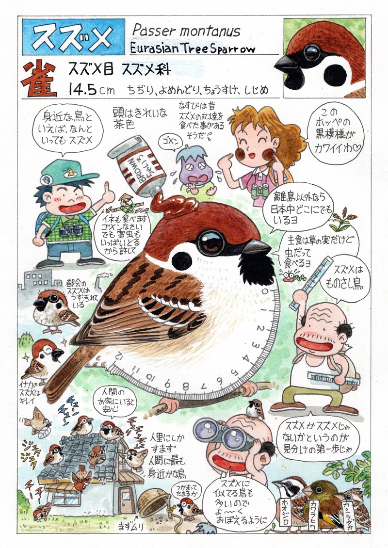 今日のオマケ。「バーダー」誌2000年4月号から4年間連載された「鳥解體珍書」(モノクロ)をカラー化して本邦初公開(一部原画展で公開)。カラー化済は13回分のみ。今後発表の場が未定なのでここにアップします。第1回「スズメ」。 