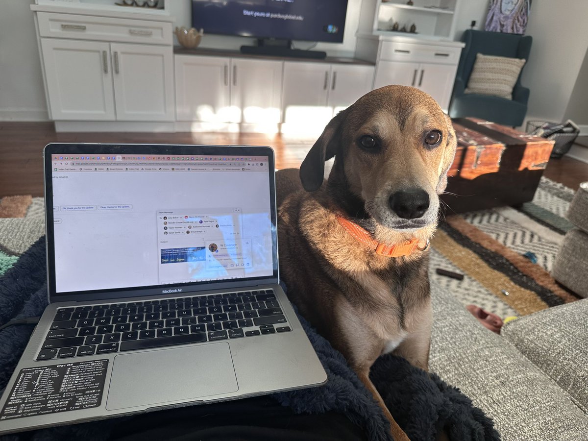 Tracey Ratner tweet media