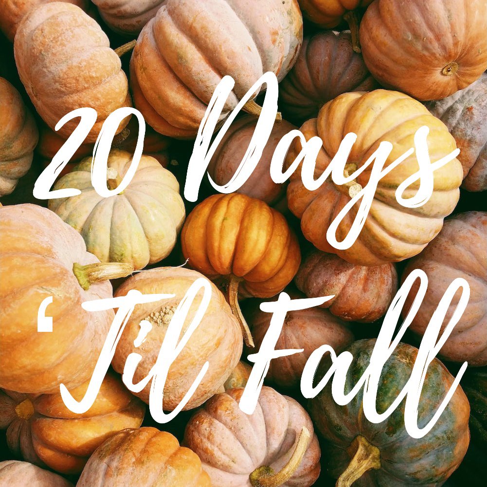alt_bombshell's tweet photo. Can’t wait to enjoy the crisp fall weather. 🥰
*
*
#autumn #countdowntofall #vermont #foliage #pumpkinpatch #sunflowers #scarecrows #pumpkinspice #cornmaze #halloween #leaves https://t.co/xX36Jaodi3