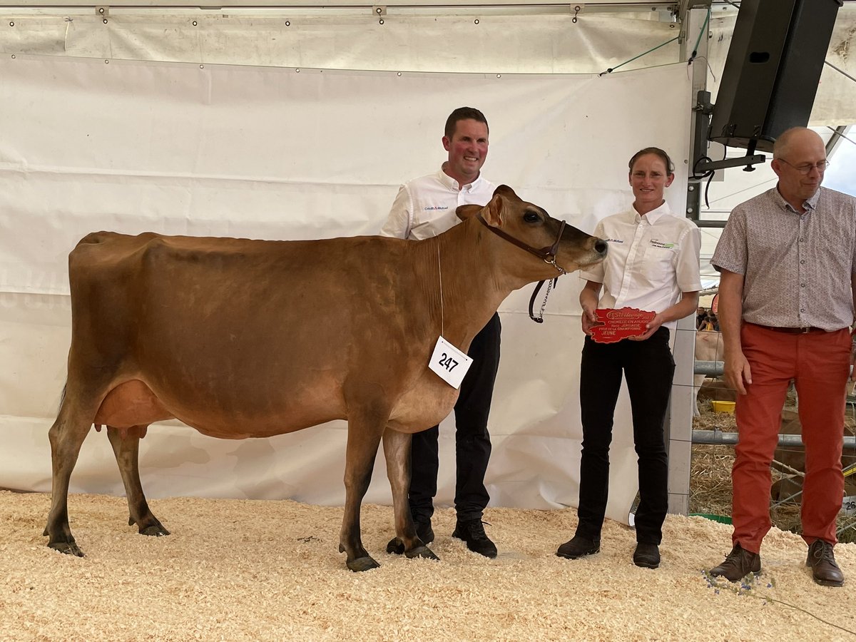 Pacifique, championne jeune du concours jersiaise. Bravo à l’élevage de la limonière