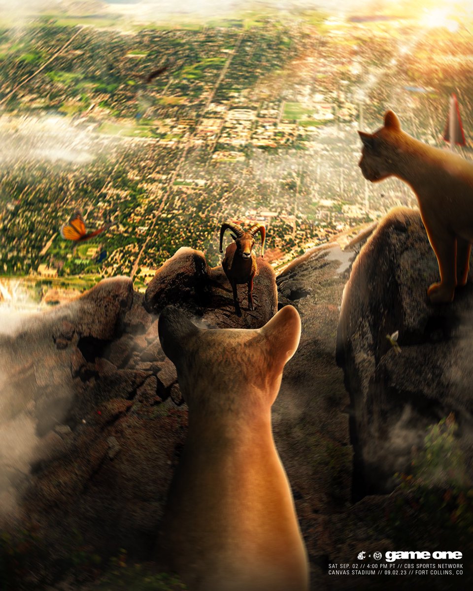 Washington State Football tweet media