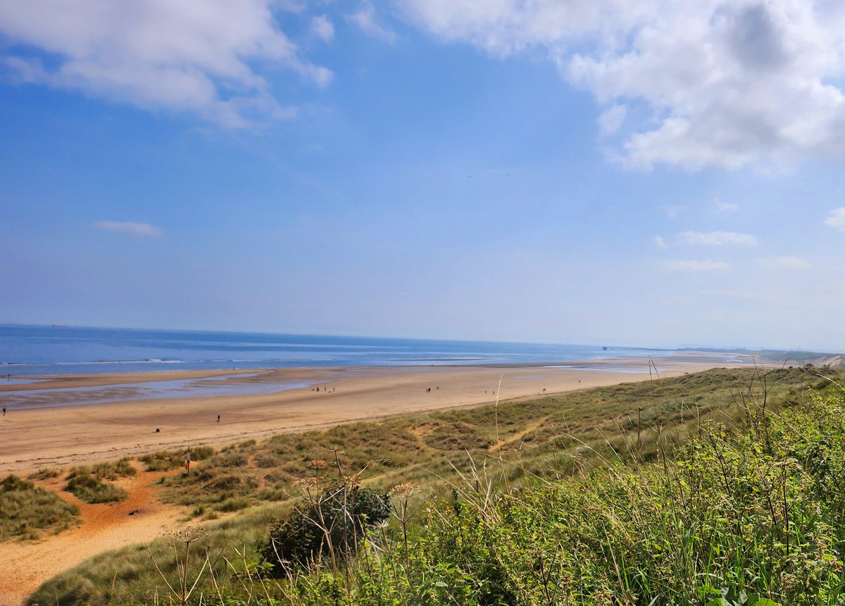 Linda Morrison tweet media