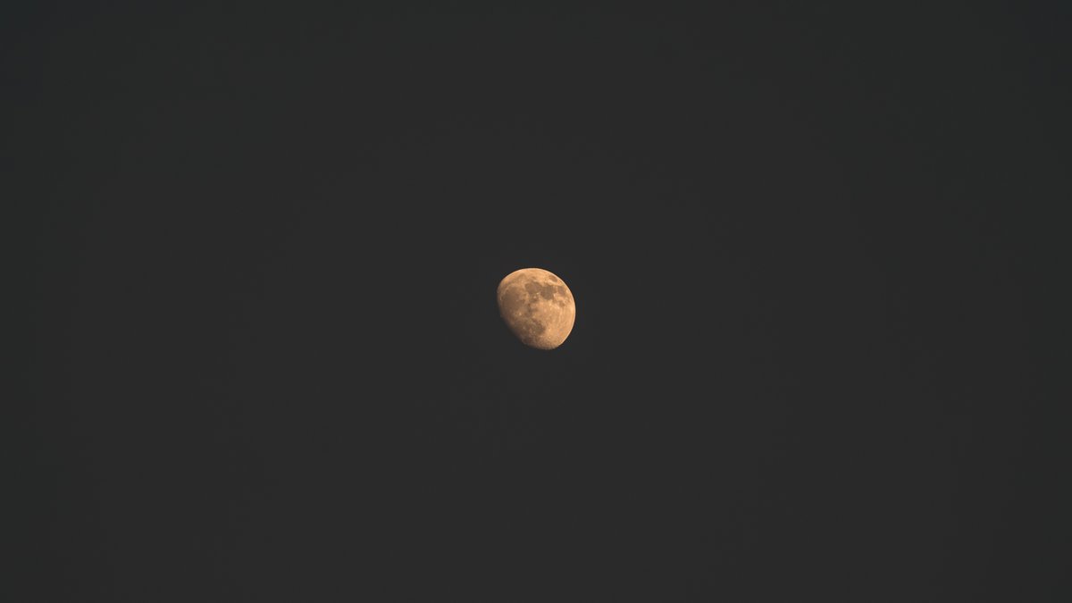 moon 🌔