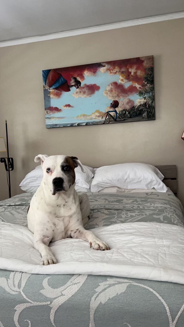 c8cook's tweet image. 