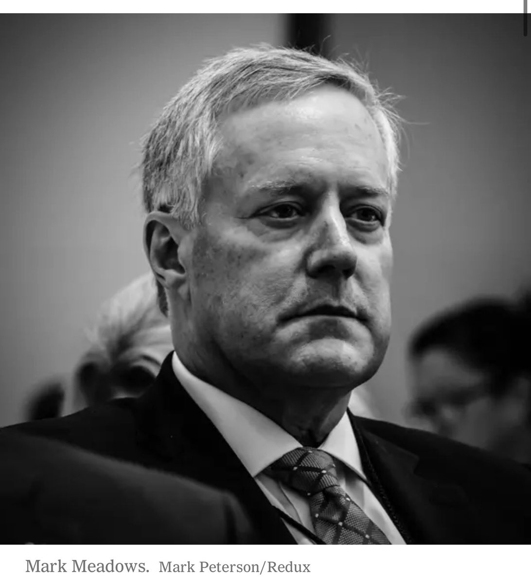 Mark Meadows would probably still be a happy little Congressman, if he hadn’t decided to work for Donald Trump.
Jenna Ellis could still be a crappy traffic court attorney who never got Covid via Rudy Giuliani fart, if she hadn’t decided to work for Donald Trump.
Walt Nauta could