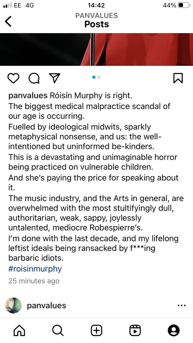 panvalues's tweet image. Instagram rant. 
I may lose friends. 

#IStandWithRoisinMurphy