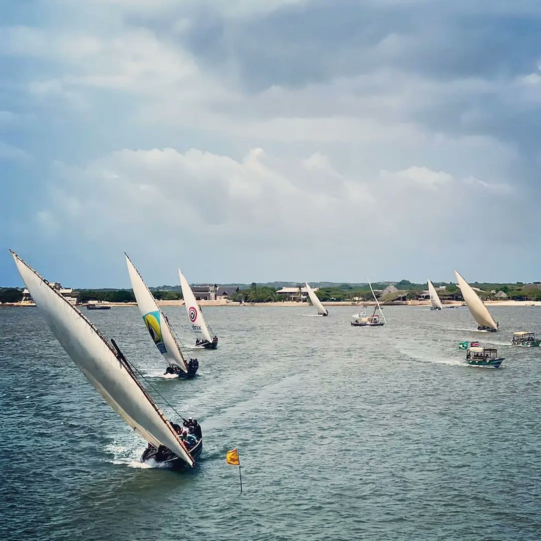 Tourmykenya's tweet photo. Dicover Lamu this season. 

📍 Peponi Hotel

#discoverkenya #lamu #magicalkenya  #viral #kenya #explore https://t.co/ypfPbFaL2m