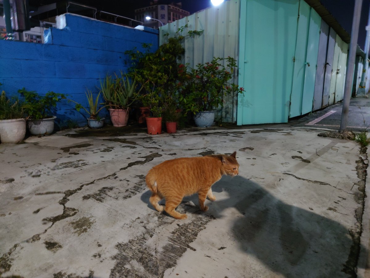 A5 (@a537691279) on Twitter photo 