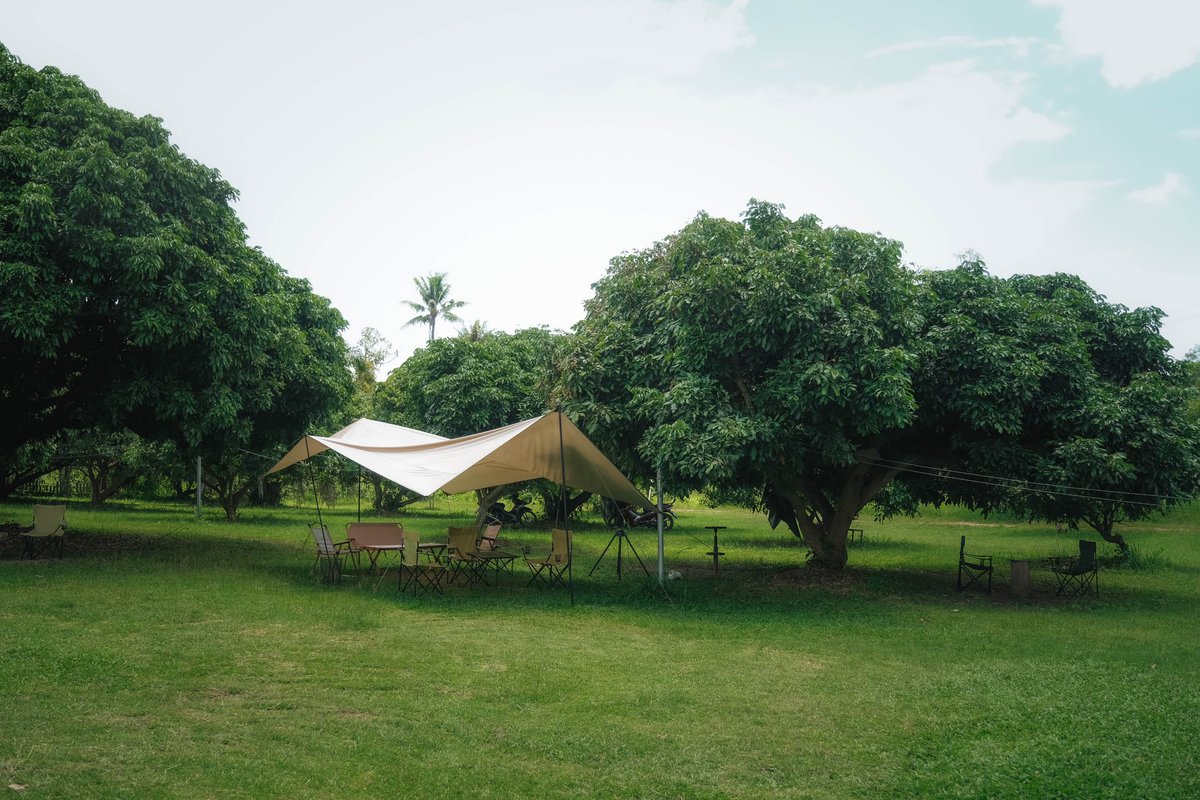 widsawaphatiew's tweet photo. คาเฟ่เล็กๆ ใต้ต้นไม้ใหญ่
สไตล์แคมป์ปิ้งสุดชิล #เชียงใหม่ ⛺️🥤🍃

📍FAR AWAY - ฟา อะ เวย์
@aroii @Review_Thailand #คาเฟ่เชียงใหม่ #วิศวะพาเที่ยว https://t.co/dECJjXrI72