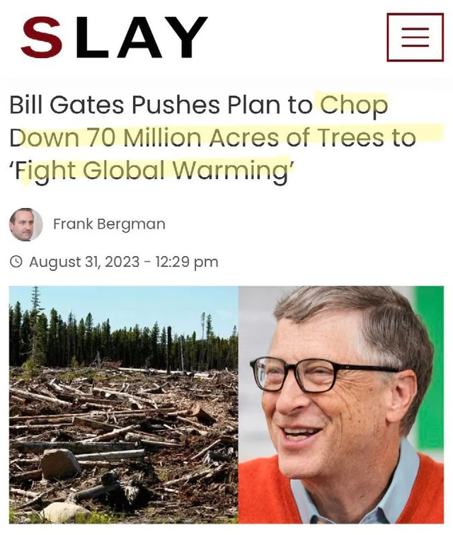 Wall Street Mav tweet media