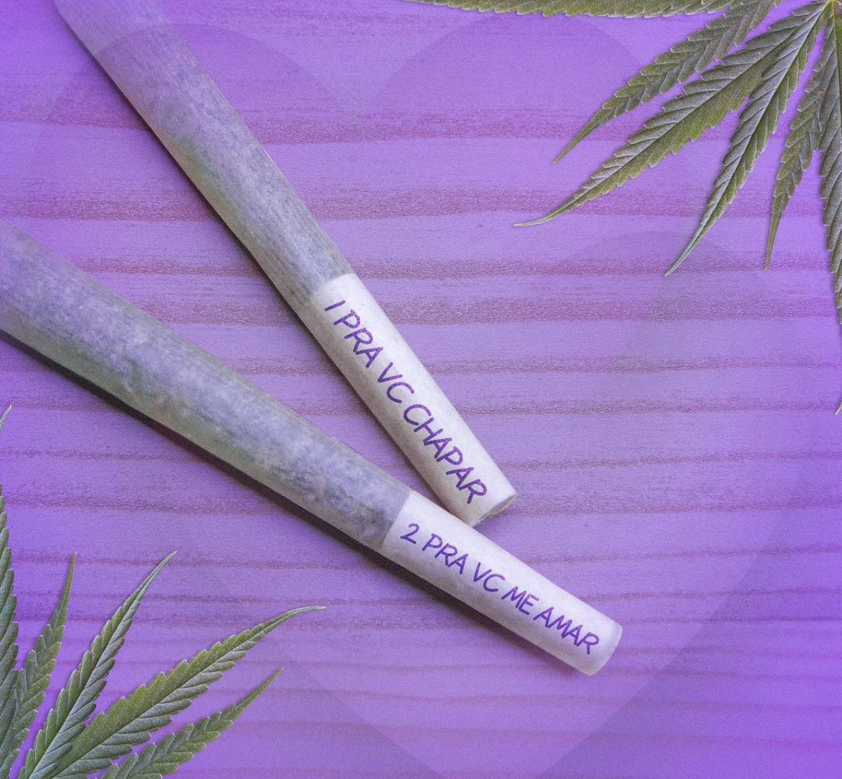 Cannabis Brasil tweet media