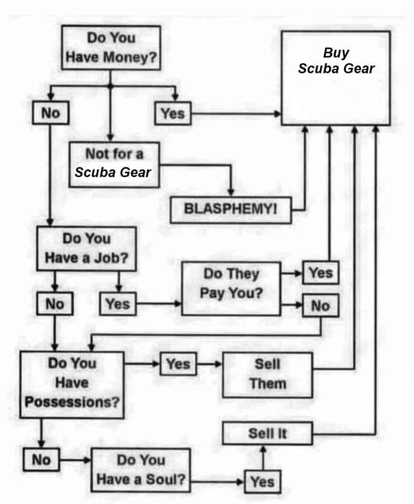 ctscubaacademy's tweet photo. https://t.co/J6oenq9wHM