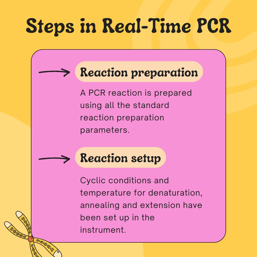 GeneticEdu's tweet image. Real-time PCR is an important quantitative method. Every step should be followed accurately to succeed in the assay. Here are the steps of qPCR. #PCR #qPCR #quantitativePCR #RT-PCR #genetics