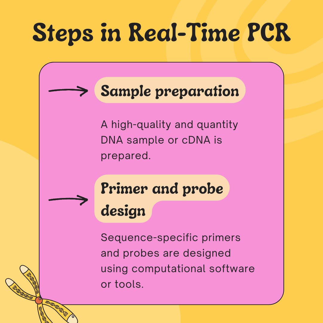 GeneticEdu's tweet image. Real-time PCR is an important quantitative method. Every step should be followed accurately to succeed in the assay. Here are the steps of qPCR. #PCR #qPCR #quantitativePCR #RT-PCR #genetics