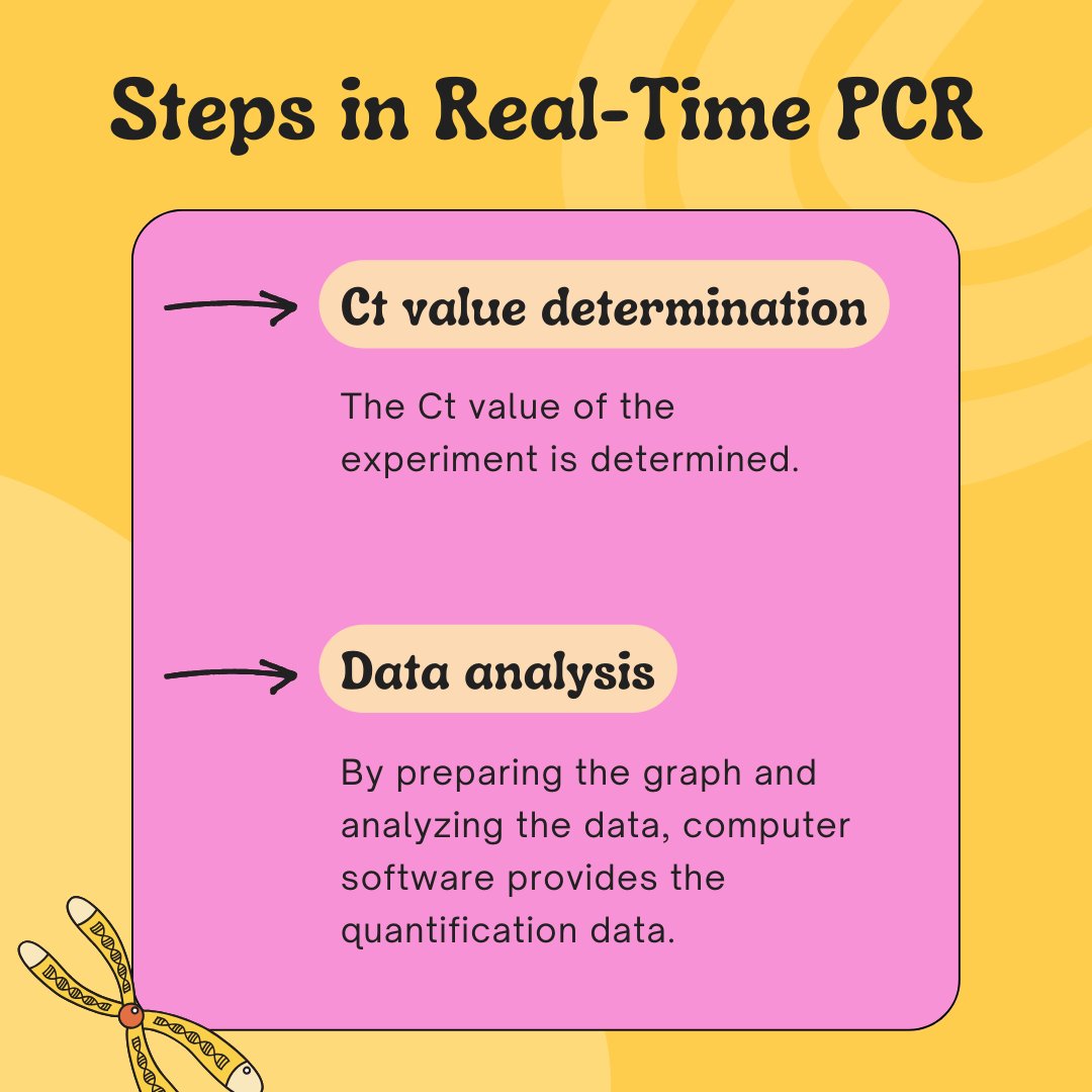 GeneticEdu's tweet image. Real-time PCR is an important quantitative method. Every step should be followed accurately to succeed in the assay. Here are the steps of qPCR. #PCR #qPCR #quantitativePCR #RT-PCR #genetics